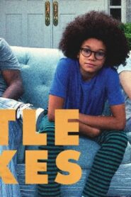 فيلم Little Boxes 2016 مترجم كامل HD اونلاين