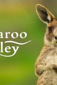 فيلم Kangaroo Valley 2022 مترجم HD كامل اونلاين