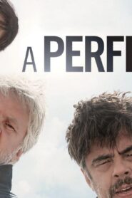 فيلم A Perfect Day 2015 مترجم كامل HD اونلاين