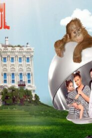 مشاهدة فيلم السيدة الثانية 2015 كامل HD اونلاين