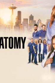مسلسل Grey’s Anatomy الموسم 21 الحلقة 17 السابعة عشر مترجمة اونلاين