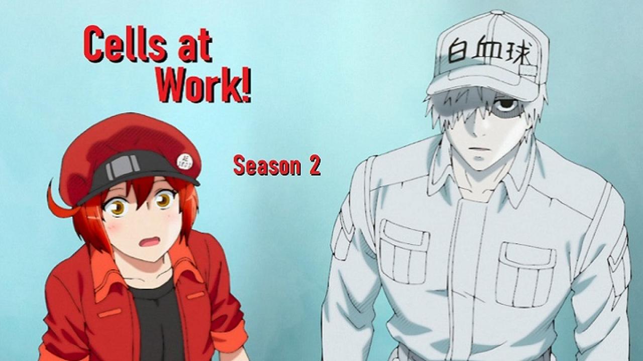 انمي Hataraku Saibou الموسم الثاني الحلقة 7 السابعة مترجمة اونلاين