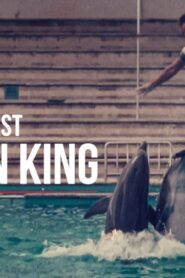 فيلم The Last Dolphin King 2022 مترجم كامل HD اونلاين