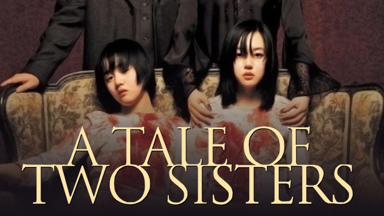 فيلم A Tale Of Two Sisters 2003 مترجم كامل HD اونلاين