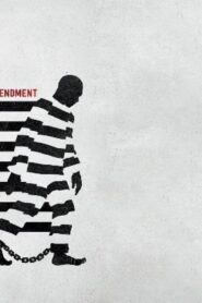 فيلم 13th 2016 مترجم كامل HD اونلاين