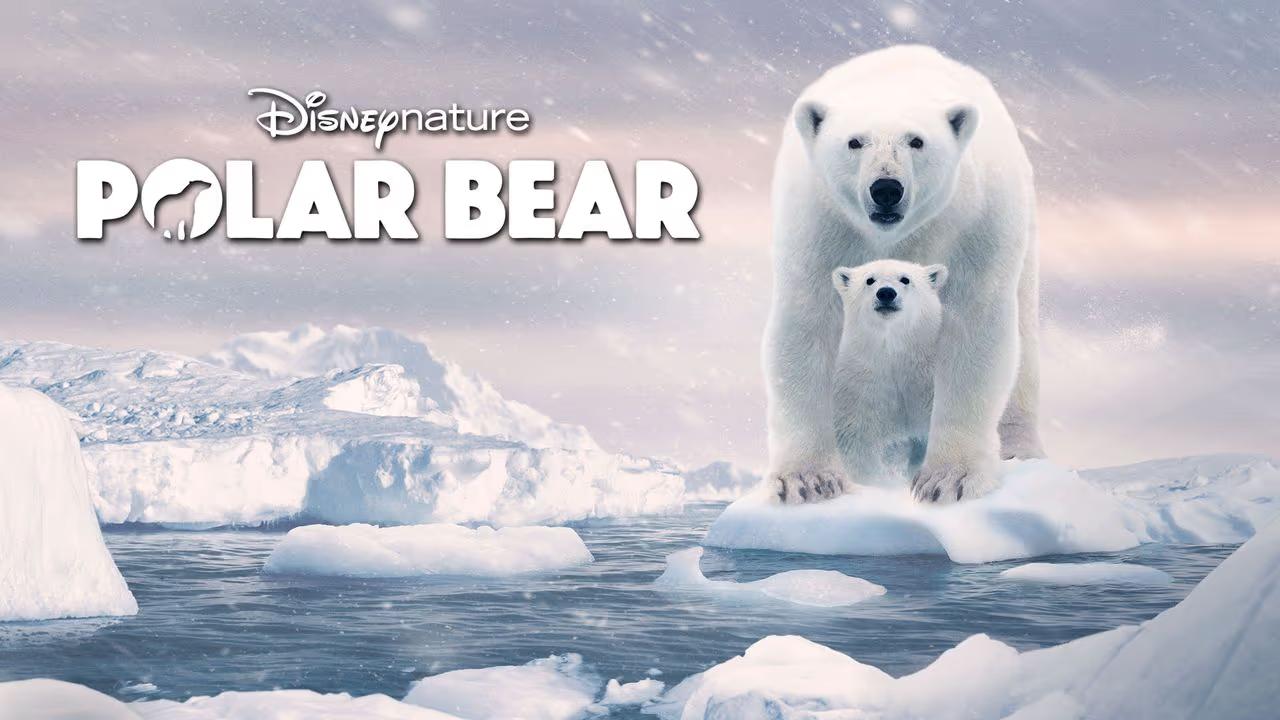 فيلم Polar Bear 2022 مترجم كامل HD اونلاين