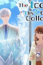 انمي Koori Zokusei Danshi to Cool na Douryou Joshi الحلقة 12 الثانية عشر والأخيرة مترجمة اونلاين