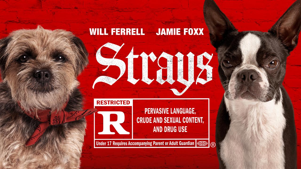 فيلم Strays 2023 مترجم كامل HD اونلاين