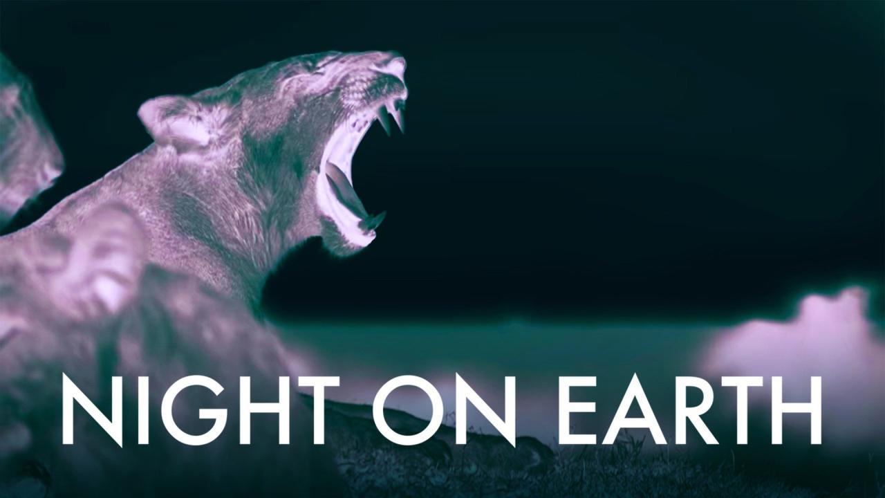 مسلسل Night on Earth الموسم الاول الحلقة 2 الثانية مترجمة اونلاين