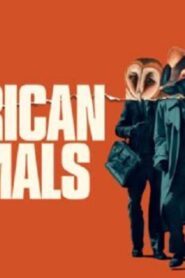 فيلم American Animals 2018 مترجم كامل HD اونلاين