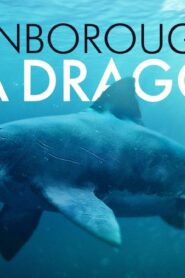 فيلم Attenborough And The Sea Dragon 2018 مترجم كامل HD اونلاين