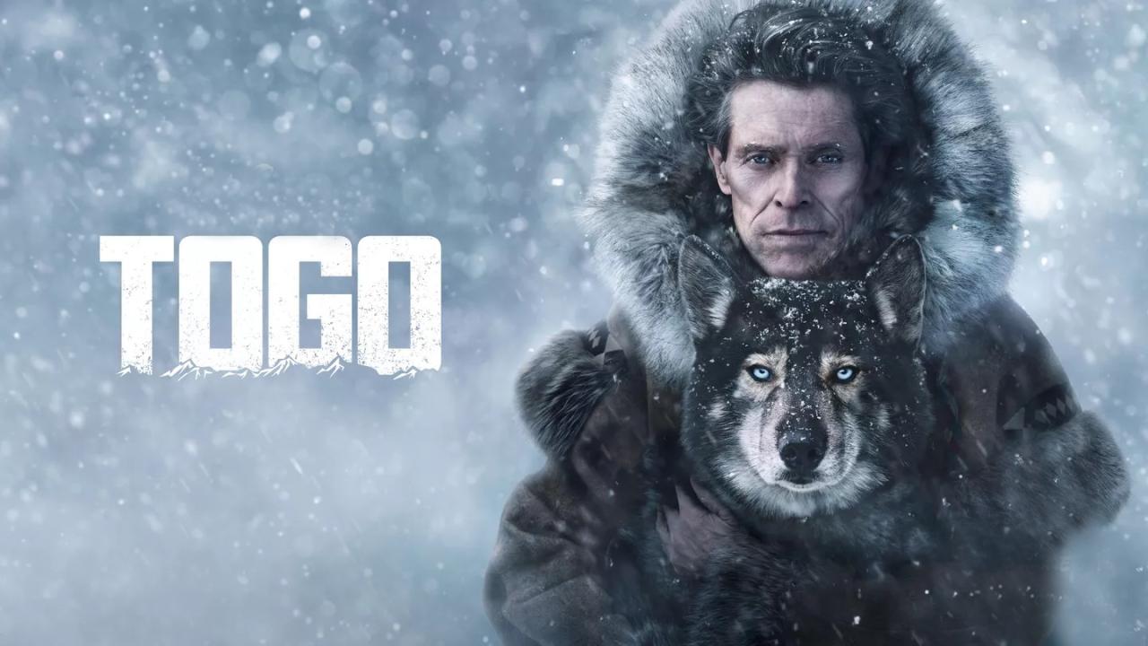 فيلم Togo 2019 مترجم كامل HD اونلاين