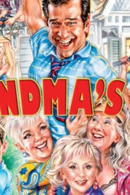 فيلم Grandmas Boy 2006 مترجم كامل HD اونلاين