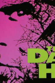 فيلم The Dark Half 1993 مترجم كامل HD اونلاين