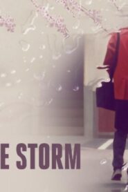 فيلم After the Storm 2016 مترجم كامل HD اونلاين