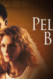 فيلم The Pelican Brief 1993 مترجم كامل HD اونلاين