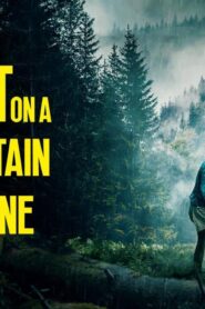فيلم Lost on a Mountain in Maine 2025 مترجم كامل HD اونلاين