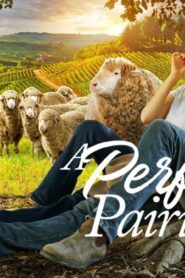 فيلم A Perfect Pairing 2022 مترجم كامل HD اونلاين