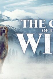 فيلم The Call Of The Wild 2020 مترجم كامل HD اونلاين