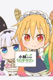 انمي Kobayashi-san Chi no Maid Dragon الموسم الاول الحلقة 12 الثانية عشر مترجمة اونلاين