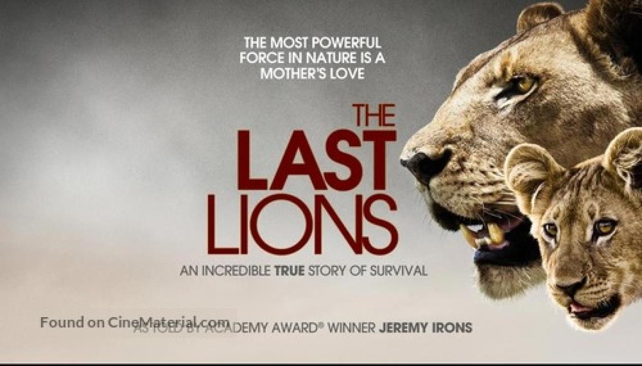 فيلم The Last Lions 2011 مترجم كامل HD اونلاين