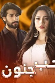 مسلسل الحب جنون الحلقة 9 التاسعة مدبلجة اونلاين