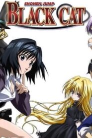 انمي Black Cat الحلقة 16 السادسة عشر مترجمة اونلاين