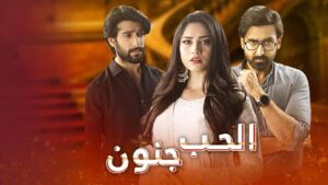 مسلسل الحب جنون الحلقة 12 الثانية عشر مدبلجة اونلاين