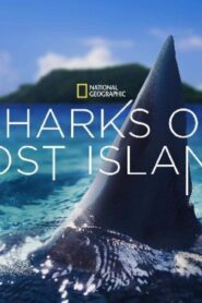 فيلم Sharks Of Lost Island 2013 مترجم كامل HD اونلاين