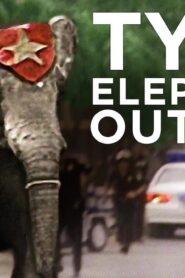 فيلم Tyke Elephant Outlaw 2015 مترجم كامل HD اونلاين