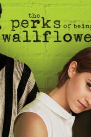 فيلم The Perks of Being a Wallflower 2012 مترجم كامل HD اونلاين
