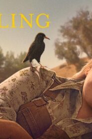 فيلم The Starling 2021 مترجم كامل HD اونلاين