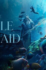 فيلم The Little Mermaid 2023 مترجم كامل HD اونلاين