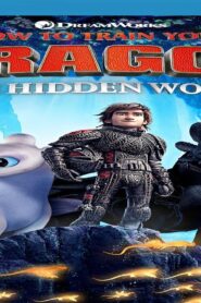 فيلم How to Train Your Dragon: The Hidden World 2019 مدبلج كامل HD اونلاين