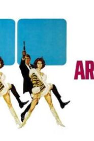 فيلم Arabesque 1966 مترجم كامل HD اونلاين