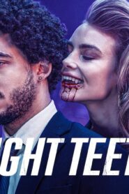 فيلم Night Teeth 2021 مترجم كامل HD اونلاين