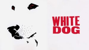 فيلم White Dog 1982 مترجم كامل HD اونلاين