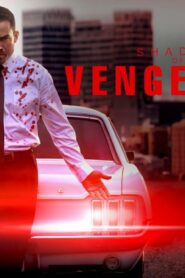 فيلم Shadow of Vengeance 2024 مترجم كامل HD اونلاين