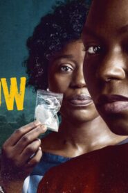 فيلم Swallow 2021 مترجم كامل HD اونلاين