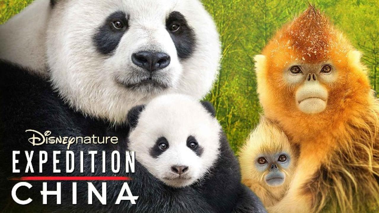 فيلم Born In China 2016 مترجم كامل HD اونلاين