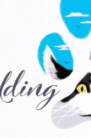فيلم Shedding 2019 مترجم كامل HD اونلاين
