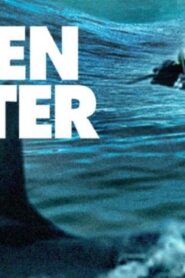 فيلم Open Water 2003 مترجم كامل HD اونلاين