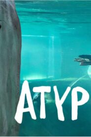 مسلسل Atypical الموسم الرابع الحلقة 3 الثالثة مترجمة اونلاين
