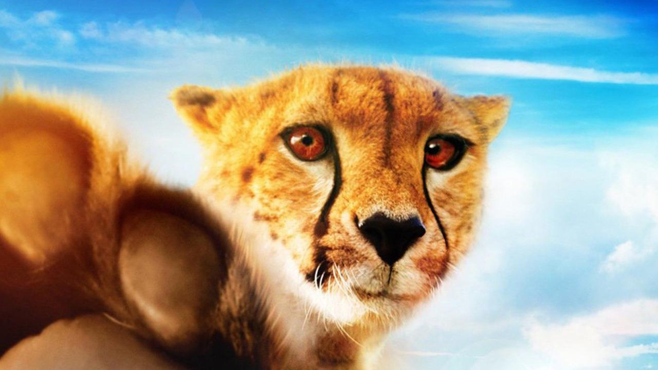 فيلم One Life 2011 مترجم كامل HD اونلاين