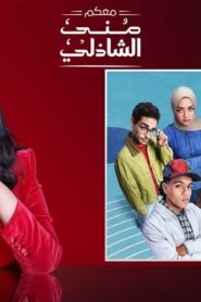 برنامج معكم منى الشاذلى – حلقة ابطال مسلسل ميدتيرم اونلاين