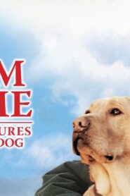 فيلم Far From Home: The Adventures Of Yellow Dog 1995 مترجم كامل HD اونلاين
