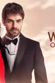 مسلسل تل الرياح الحلقة 210 مترجمة اونلاين