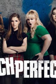 فيلم Pitch Perfect 2 2015 مترجم كامل HD اونلاين