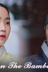 مسلسل Mr. Queen The Bamboo Forest الحلقة 2 الثانية مترجمة والاخيرة اونلاين