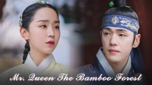 مسلسل Mr. Queen The Bamboo Forest الحلقة 2 الثانية مترجمة والاخيرة اونلاين